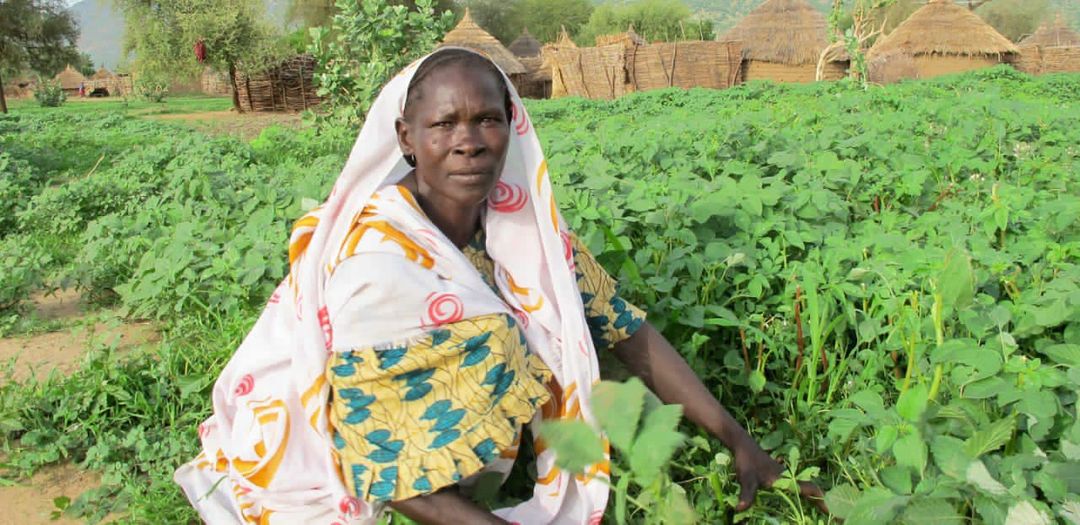 Lancement d’un nouveau projet d’aide aux paysans tchadiens: appuyer l’adaptation aux changements climatiques et stimuler le secteur de l’agriculture