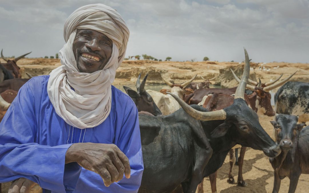 Le FIDA s’allie avec ses partenaires pour renforcer la résilience et stimuler le développement au Sahel