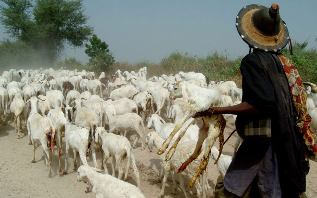Investir davantage dans le Sahel pour stimuler le développement et la résilience des populations rurales